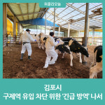 김포시, 구제역 유입 차단 위한 긴급 방역 나서
