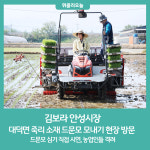 김보라 안성시장, 드문모 모내기 현장 방문