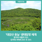 인제군, 5월 16일부터 대암산 용늪 생태탐방 재개