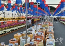 [행사] 경북 영천 화룡동 영천한의마을서 오는 19일 영천한약축제 팡파르...21일까지 3일간