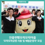 횡성군 안흥찐빵모락모락마을, 모락모락공방 사용 및 체험운영자 모집