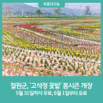 철원군, 국민 정원 고석정 꽃밭 봄시즌 개장