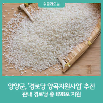 양양군, '경로당 양곡지원사업' 추진···총 898포 지원 예정