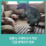 강릉시, 구제역 발생 긴급 방역조치 완료