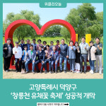 고양특례시 덕양구, 창릉천 유채꽃 축제 성공적 개막