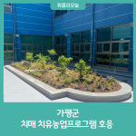 가평군, 치매 치유농업프로그램 호응