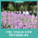 가평군, 자라섬 남도 꽃 축제 방문객 끊임없는 발길