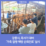 강릉시, 혹서기 대비 가축 질병 예방 순회진료 실시