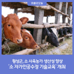 횡성군, 소 자가인공수정 기술교육 개최