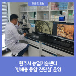 원주시 농업기술센터, 병해충 종합 진단실 운영