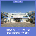 정선군, 산불예방·산불 확산 방지 숲가꾸기사업 추진