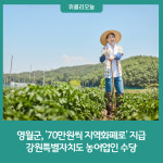 영월군, 강원특별자치도 농어업인 수당 70만원씩 지역화폐로 지급