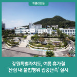 [강원특별자치도] 여름 휴가철 산림 내 불법행위 집중단속 실시