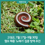 강원 고성군, 7월 17일~9월 30일 혐오 해충 노래기 집중 방역 추진