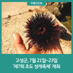강원 고성군, 7월 21일~23일 제7회 초도 성게축제 개최