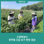 고양특례시, 장마철 긴급 농가 현장 점검
