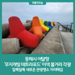 동해시 어달항 무지개빛 테트라포드 이색 볼거리 각광