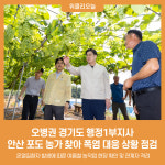 오병권 경기도 행정1부지사, 안산 포도 농가 찾아 폭염 대응 상황 점검