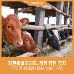 강원특별자치도, 청정 강원 유지 구제역 항체검사(SP, NSP) 추진