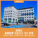 양평군, 동물등록 자진신고 기간 운영