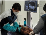 이솝동물메디컬-아라마루 아쿠아리움·동물원, 희귀동물 종 보존 및 치료를 위한 업무협약(MOU) 체결