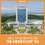 강릉시, 지역 농산물 먹거리·체험 여름 강릉로컬푸드마켓 개최