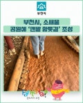 [카드뉴스] 부천시, 소새울공원에 맨발 황톳길 조성