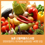 양양군, 농촌 신활력플러스사업 양양로컬푸드 아카데미 심화과정 140명 모집