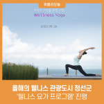 올해의 웰니스 관광도시 정선군, 웰니스 요가 프로그램 진행
