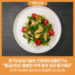 경기도농기원, 황금산타리 활용한 이색 버섯 요리 즐기세요