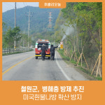 철원군, 미국흰불나방 확산 방지 병해충 방제 추진