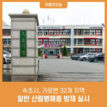 속초시, 가로변 32개 지역 일반 산림병해충 방제 실시