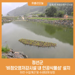 정선군, 하천 수질개선 및 수생태계 보호 비점오염저감시설 내 인공식물섬 설치