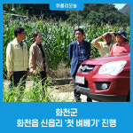 화천군, 화천읍 신읍리 첫 벼베기 진행