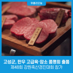 강원 고성군, 제48회 강원축산경진대회 참가···한우 고급육·암소 품평회 출품