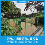 고양시, 동물교감치유 도입…반려동물 보살피며 상처 극복