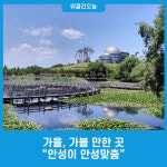 가을, 가볼 만한 곳 안성이 안성맞춤