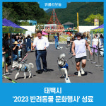 Ảnh kết quả tìm kiếm Naver 5