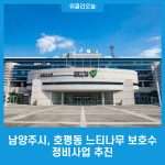 남양주시, 호평동 느티나무 보호수 정비사업 추진