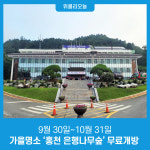 홍천군, 가을명소 홍천 은행나무숲 무료개방