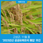 강원 고성군, 11월 중 2023년산 공공비축미곡 매입 추진