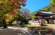 순창 강천산, 추석 연휴 관광객 5만명 방문…예상치 웃돌아