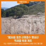 รูปภาพผลการค้นหา Naver 2