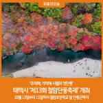 태백시 제13회 철암단풍축제 13일 개막