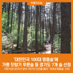 대한민국 100대 명품숲에 가평 잣향기 푸른숲 등 경기도 7개 숲 선정