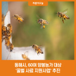 동해시, 60여 양봉농가 대상 꿀벌 사료 지원사업 추진
