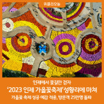 2023 인제 가을꽃축제 31일 간의 즐거운 여정 마무리