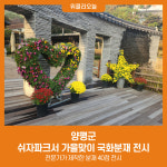 양평군, 쉬자파크서 가을맞이 국화분재 전시