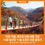 이번 주말, 파주로 단풍 여행 가요