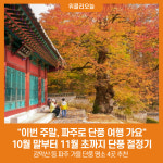 이번 주말, 파주로 단풍 여행 가요
